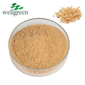 Malt Extract Powder Manufacturer - Manufacturer Suppliers Hydrolyzed from Barley