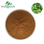 Ivy Leaves Extract Manufacturer - Chinese Herb Dried Hedera Helix Water Soluble Hederin