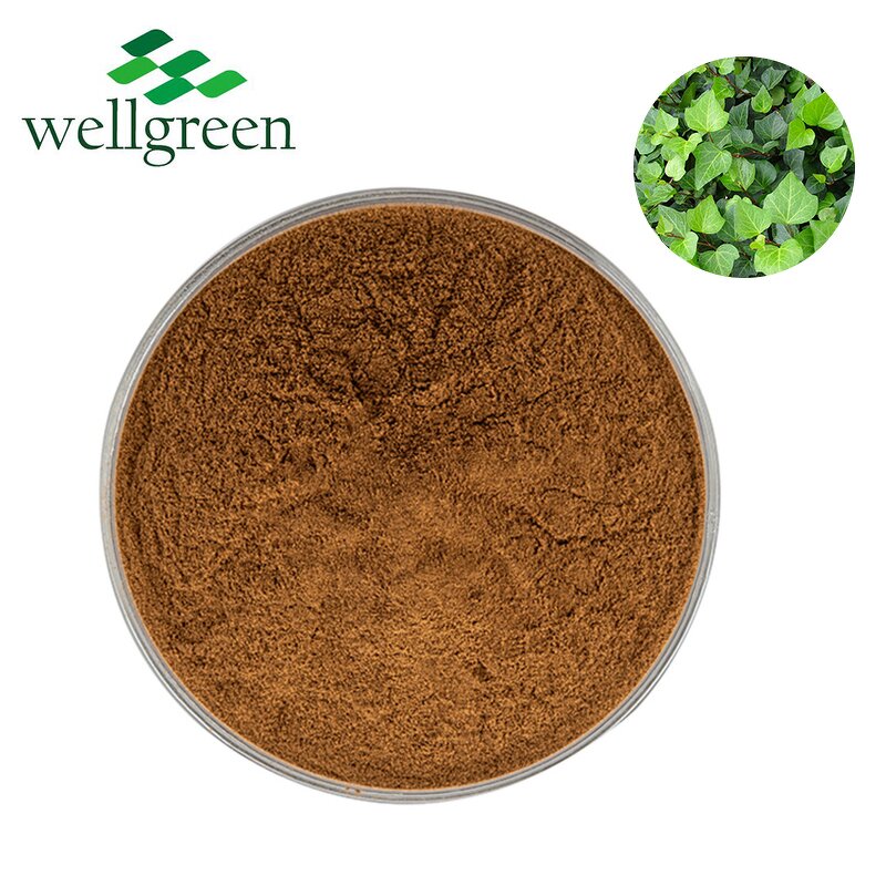 Ivy Leaves Extract Manufacturer - Chinese Herb Dried Hedera Helix Water Soluble Hederin