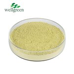 Purple Cabbage Powder Manufacturer - Fermented Red Juice Herbal Extract