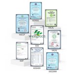 Lion's Mane Mushroom Extract Manufacturer - Wellgreen Organic 30% Beta-Glucan