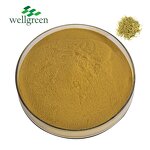 Honeysuckle Flower Extract Manufacturer - Wellgreen Factory Supply with Chlorogenic Acid