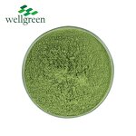 Matcha Green Tea Powder Manufacturer - Organic Ceremonial Grade Halal Pure