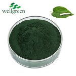 Sodium Copper Chlorophyllin Powder Manufacturer - Nature Salt