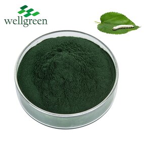 Sodium Copper Chlorophyllin Powder Manufacturer - Nature Salt