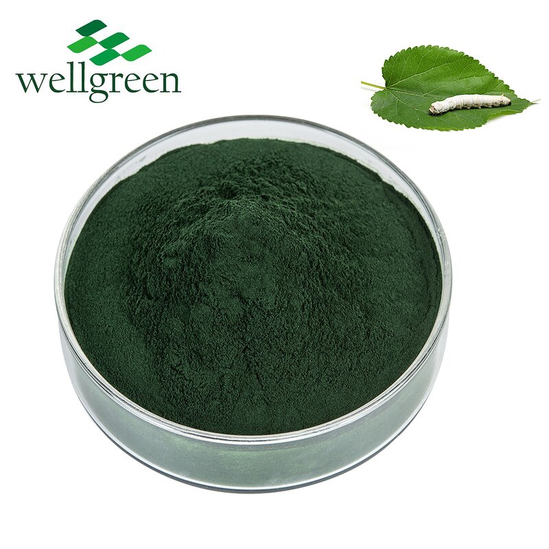 Sodium Copper Chlorophyllin Powder Manufacturer - Nature Salt
