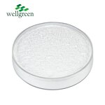 L-Ergothioneine Powder Manufacturer - Wellgreen Natural Anti-Aging 99% CAS 497-30-3
