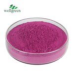 Dragon Fruit Powder Manufacturer - Pure Natural Freeze Dried Water Soluble Pitaya