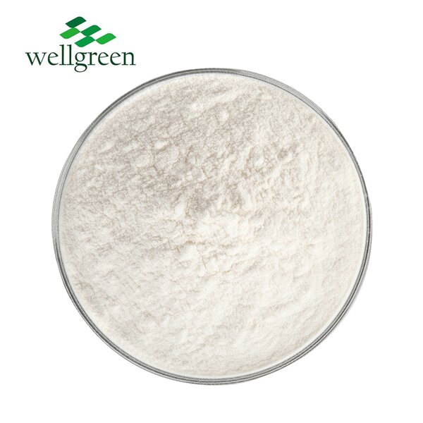 Collagen Peptide Powder Manufacturer - Wellnature Undenatured Type II Complex