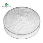 Vitamin D3 Powder Manufacturer - Wellgreen Main Export Cholecalciferol