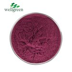 Roselle Extract Powder Manufacturer - ISO Factory Supply Food Grade Hibiscus Flower