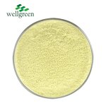 Chlorogenic Acid Powder Manufacturer - Free Sample Food Grade 50% from Green Coffee