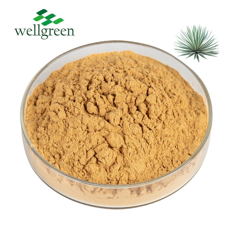 Yucca Extract Powder Manufacturer - Schidigera Root Saponin