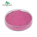 Dragon Fruit Powder Manufacturer - 100% Natural Organic Freeze Dried Red Pitaya
