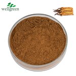 Cordyceps Sinensis Extract Manufacturer - Chinese Caterpillar Fungus Polysaccharide