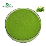 Matcha Powder Manufacturer - Instant Green Tea Ceremonial 100% Organic