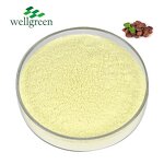 Chlorogenic Acid Powder Manufacturer - Free Sample Food Grade 50% from Green Coffee