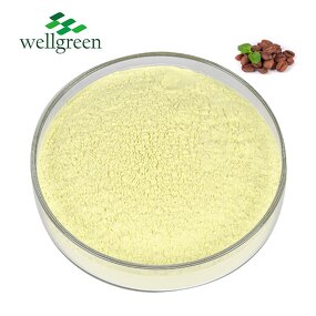 Chlorogenic Acid Powder Manufacturer - Free Sample Food Grade 50% from Green Coffee