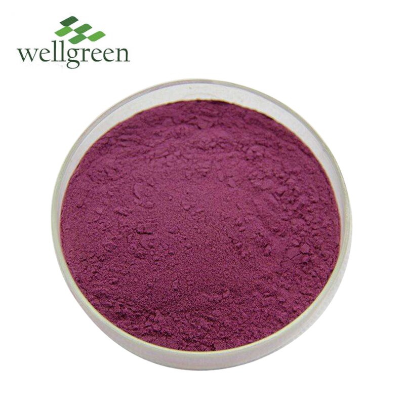 Dragon Fruit Powder Manufacturer - Freeze Dried Organic Superior Food Grade Red