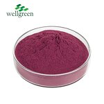 Roselle Extract Powder Manufacturer - ISO Factory Supply Food Grade Hibiscus Flower