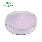 Taro Powder Manufacturer - Nature Fresh Root Flour Pure Organic Original