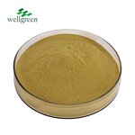 Chlorogenic Acid Powder Manufacturer - 50%-98% Purity, Green Coffee Bean Extract