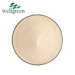 Aloe Vera Powder Manufacturer - Wellgreen Spray Dried Freeze-Dried 200:1 Gel