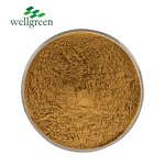 Eucommia Extract Manufacturer - Feed Additives 10% Chlorogenic Acid