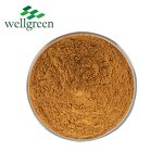 Yucca Extract Powder Manufacturer - Wellgreen High Quality Schidigera Root Saponin
