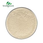 Almond Powder Manufacturer - Juice Nutrition Casa Shell Instant Milk Flour Protein