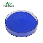 Blue Spirulina Powder Manufacturer - Wellgreen Natural Phycocyanin E18
