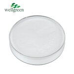 L-Aspartic Acid Manufacturer - Wellgreen Bulk Food & Cosmetic Grade CAS 56-84-8