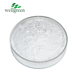 Stigmasterol Powder Manufacturer - Wellgreen Factory Cosmetic Grade 95% CAS 83-48-7