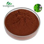 Mimosa Root Bark Extract Powder Manufacturer - Hot Selling Sensitive Plant