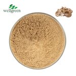 Oyster Mushroom Powder Manufacturer - 100% Pure Organic for Plant Protein
