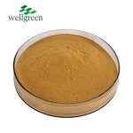 Rosemary Extract Powder Manufacturer - Free Sample 5%-90% Rosmarinic Acid Cosmetic