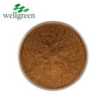 Lion's Mane Mushroom Extract Manufacturer - Wellgreen Organic 30% Beta-Glucan