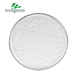 Licorice Root Extract Manufacturer - Wellgreen Factory 98% Glycyrrhetinic Acid