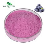 Fruit and Vegetable Powder Manufacturer - Bulk Export Natural Water Soluble Super Food