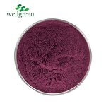Prune Powder Manufacturer - Wellgreen Juice Prunes Black Sweet Dried