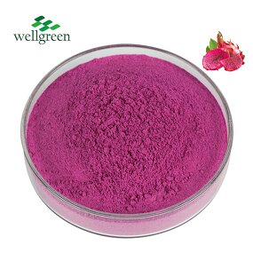 Dragon Fruit Powder Manufacturer - Pure Natural Freeze Dried Water Soluble Pitaya