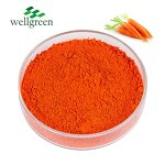 Beta-Carotene Powder Manufacturer - Food Grade Natural Carrot Extract