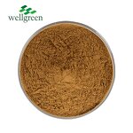 Thunberg Fritillary Bulb Extract Manufacturer - Natural 10:1 Food/Cosmetic Grade