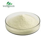 Greengage Powder Manufacturer - Wellgreen 100% Organic Fruit Enzymes Dried