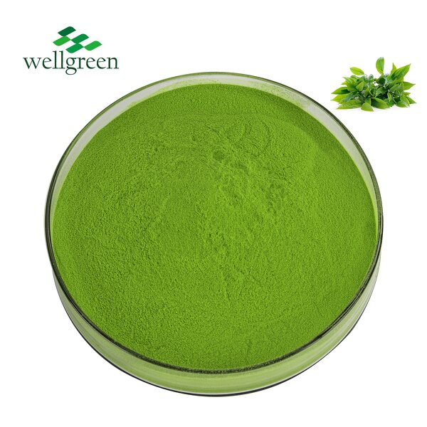 Matcha Green Tea Powder Manufacturer - Hot Selling Organic Ceremonial Grade