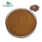 Shiitake Mushroom Extract Manufacturer - Wellgreen USDA 30% & 50% AHCC Powder