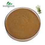 Rosemary Extract Powder Manufacturer - HALAL Certificate 5%-98% Rosmarinic Acid