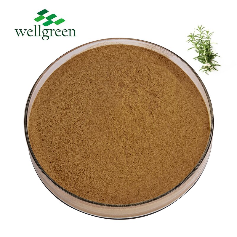 Rosemary Extract Powder Manufacturer - HALAL Certificate 5%-98% Rosmarinic Acid