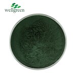 Chlorophyllin Powder Manufacturer - Natural Mulberry Leaf Extract E80 Sodium Copper