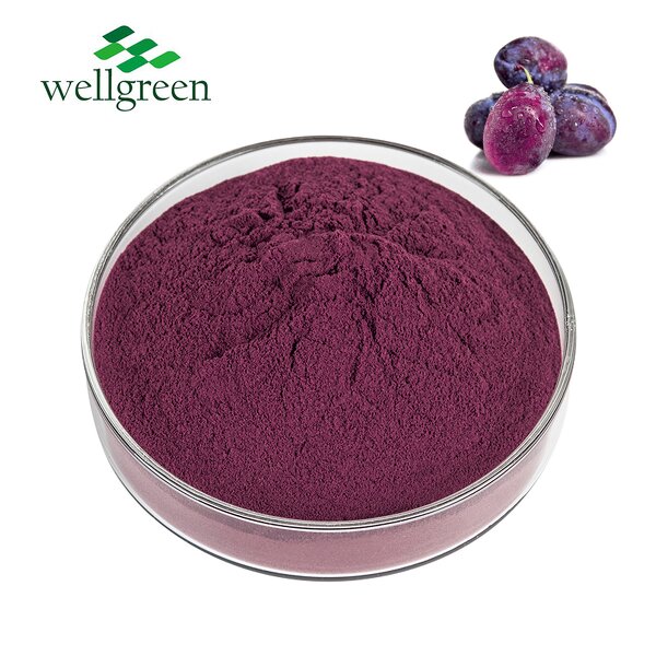 Prune Powder Manufacturer - Wellgreen Juice Prunes Black Sweet Dried